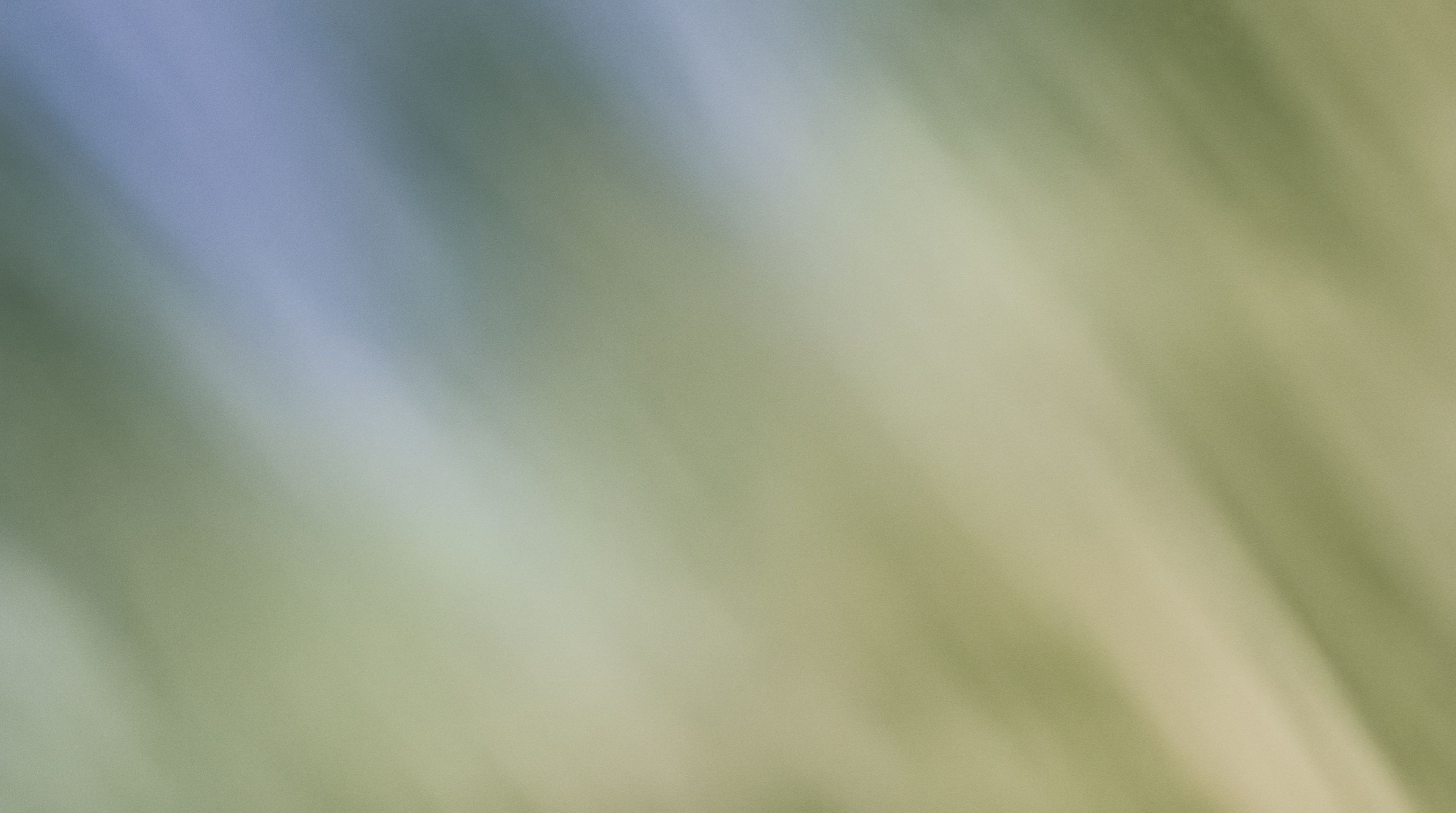 Intent HQ runs its pipeline on customer evidence in Lightfield